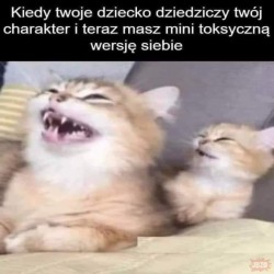admin